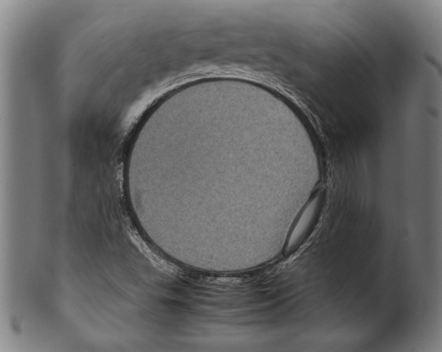 X0000099431503200806061006