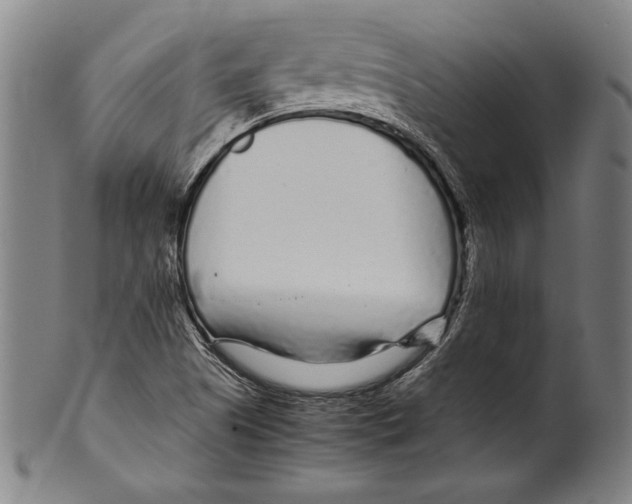 X0000099431505200806061006