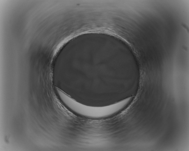 X0000099431506200806061006