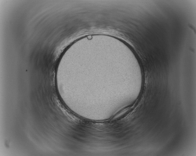 X0000099431507200806061006