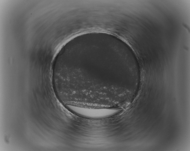 X0000099431508200806061006