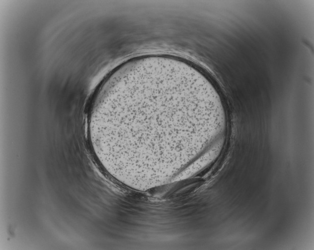 X0000099431509200806061006