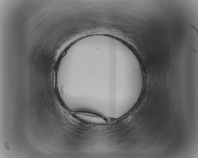 X0000099431510200806061006