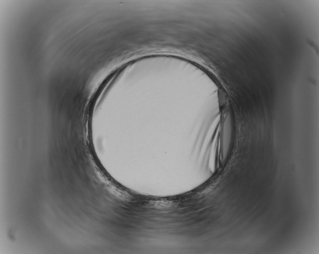 X0000099431511200806061006