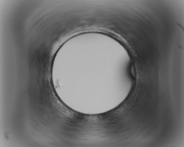 X0000099431512200806061006