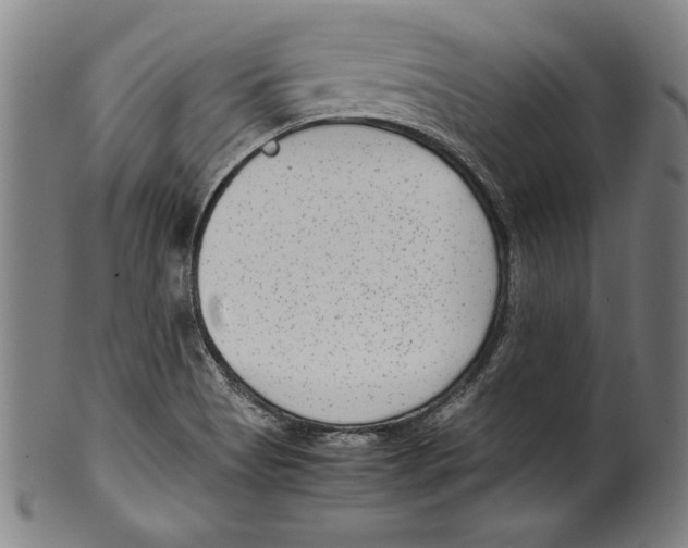 X0000099431513200806061006