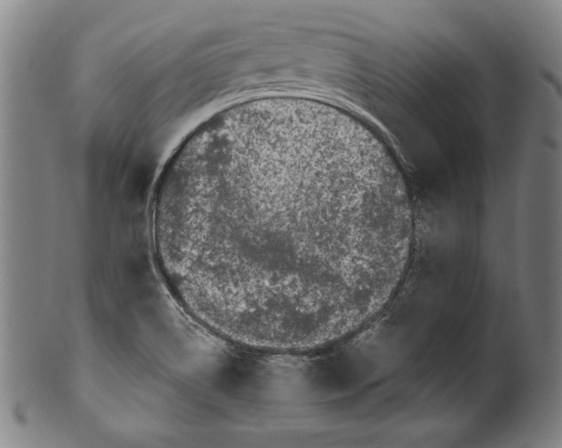 X0000099431514200806061006