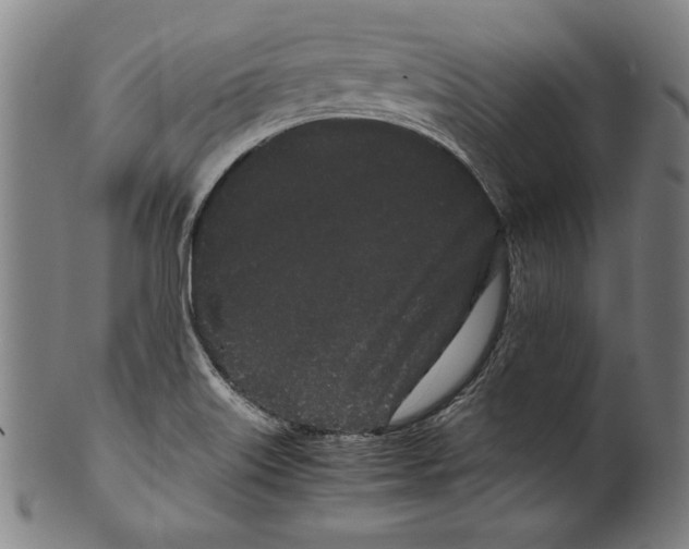 X0000099431515200806061006