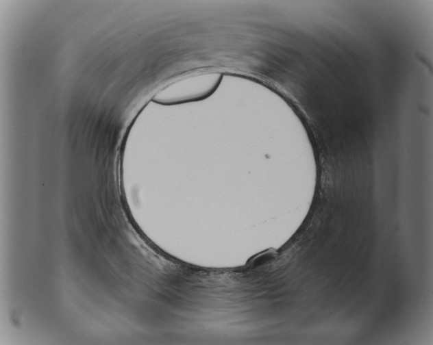 X0000099431516200806061006