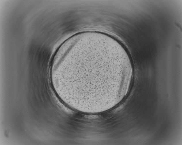 X0000099431517200806061006