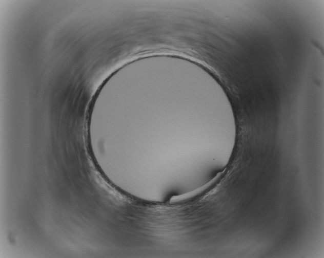 X0000099431518200806061006