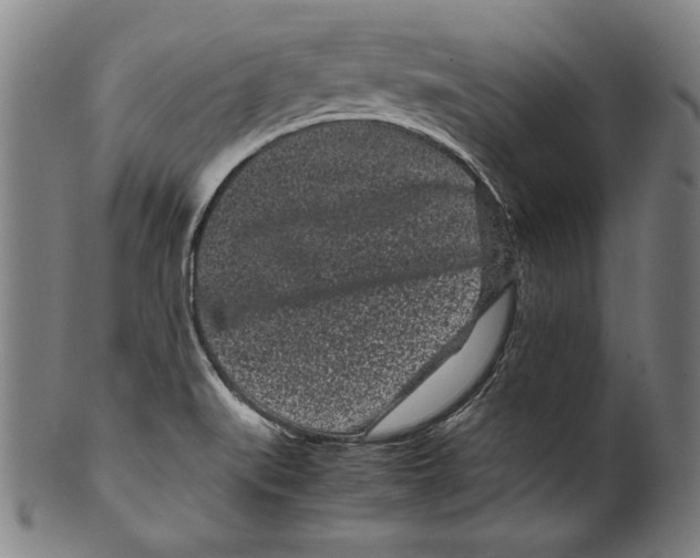 X0000099431519200806061006