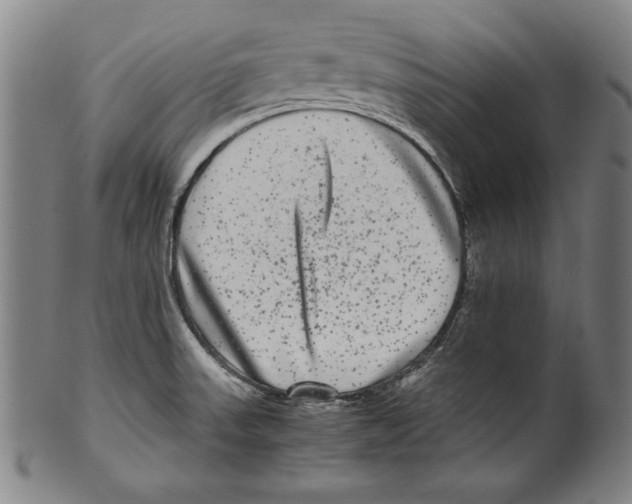 X0000099431523200806061006