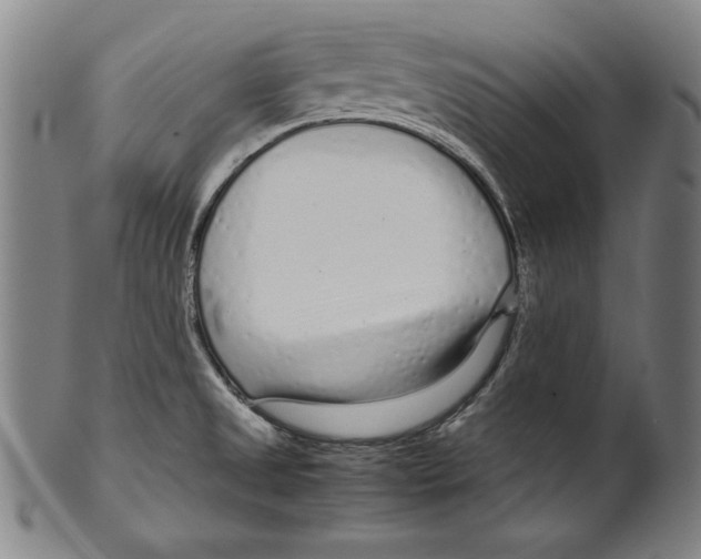 X0000099431525200806061006