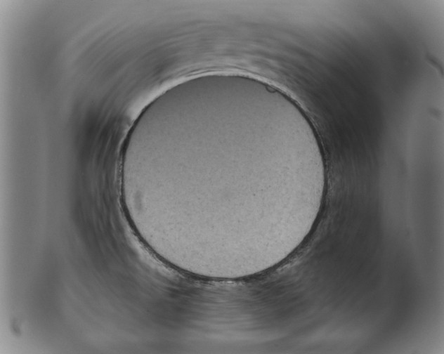 X0000099431526200806061006