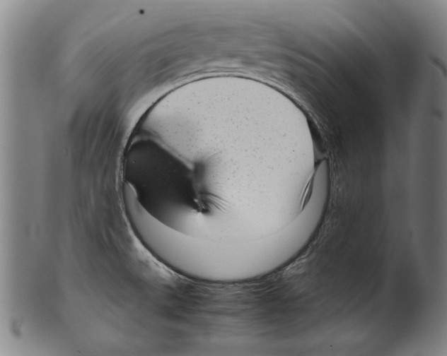 X0000099431527200806061006