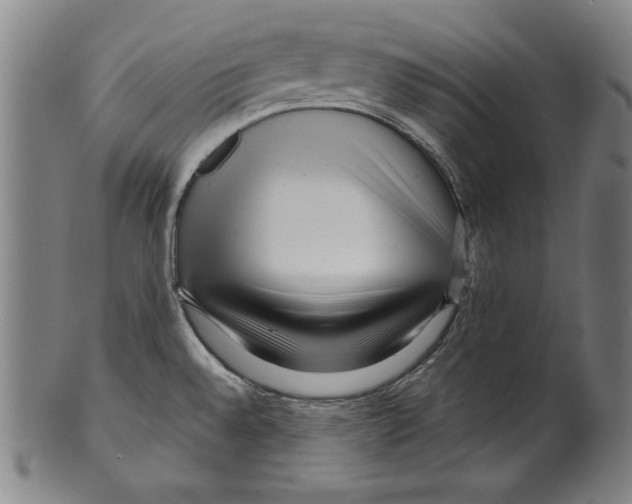 X0000099431528200806061006