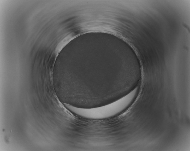 X0000099431529200806061006