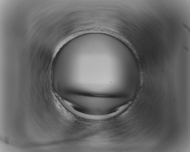 X0000099431530200806061006