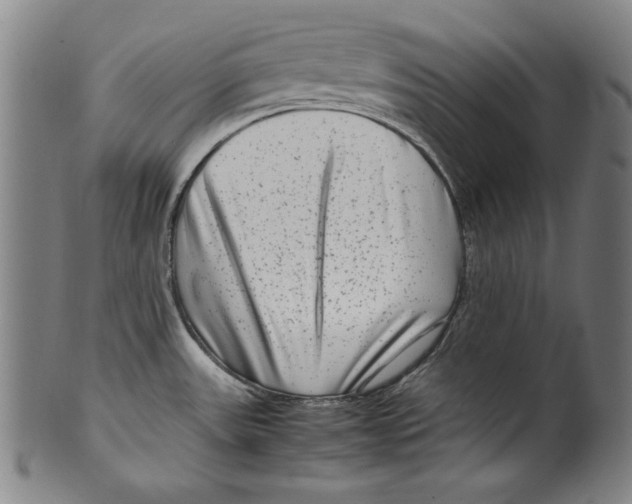 X0000099431531200806061006