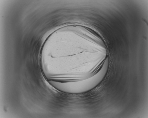 X0000099431535200806061007