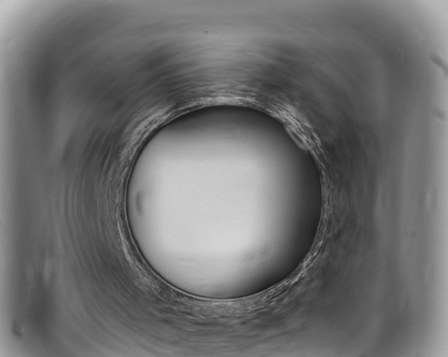 X0000099440001200805090757
