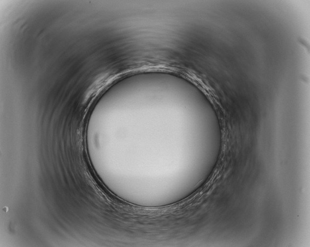 X0000099440002200805090757