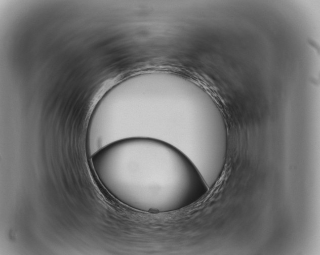 X0000099440003200805090757