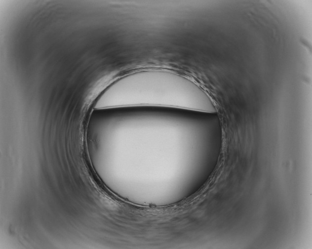 X0000099440005200805090757