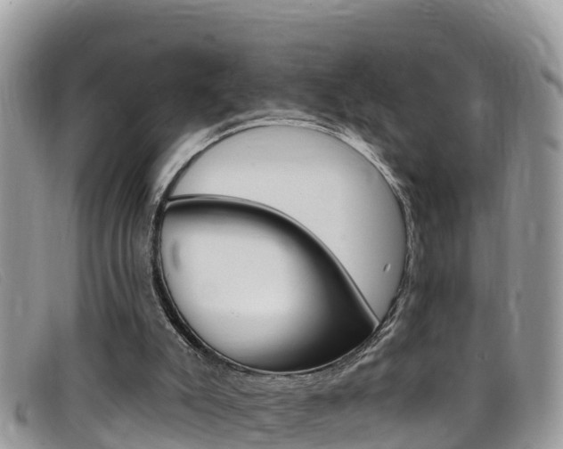 X0000099440007200805090757