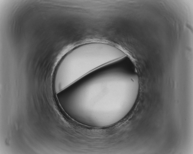 X0000099440008200805090757