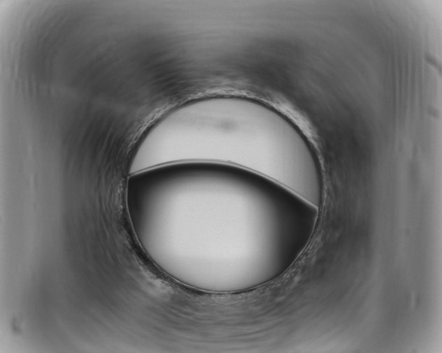 X0000099440009200805090757