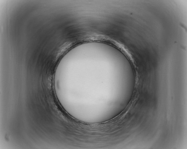 X0000099440010200805090757