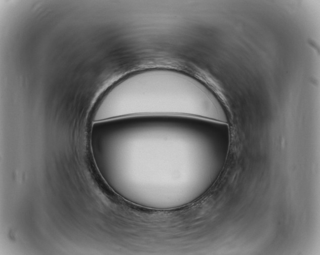 X0000099440012200805090757