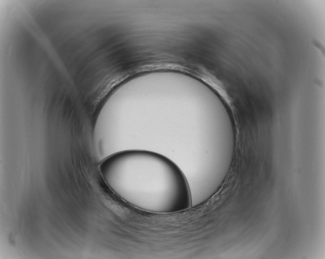 X0000099440013200805090757