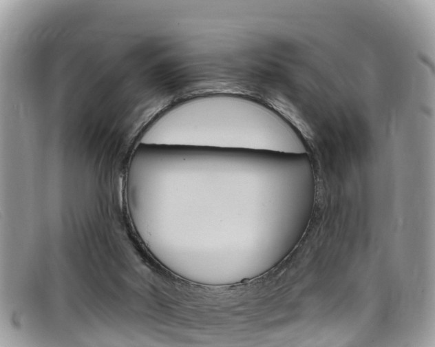X0000099440014200805090757