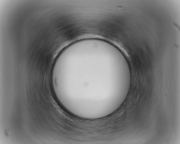 X0000099440015200805090757