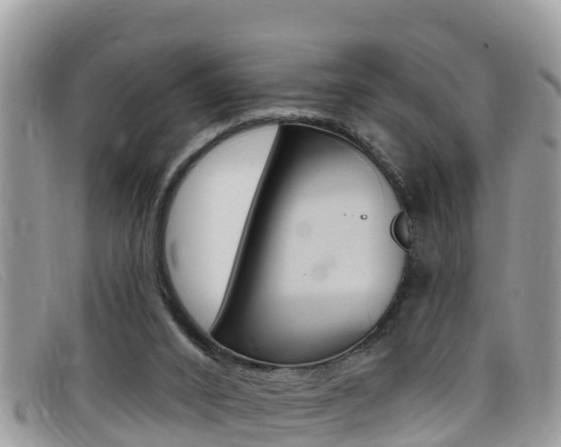 X0000099440016200805090757