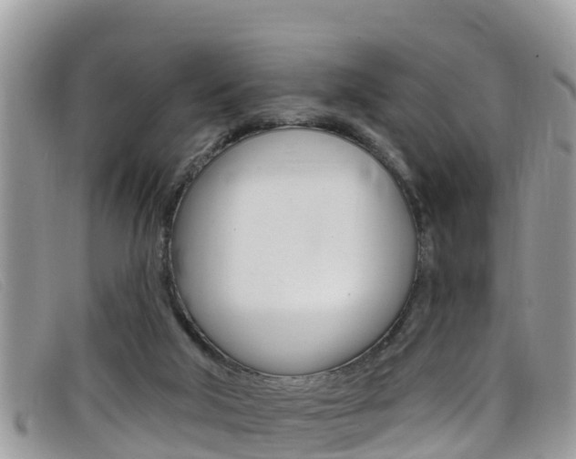 X0000099440018200805090757