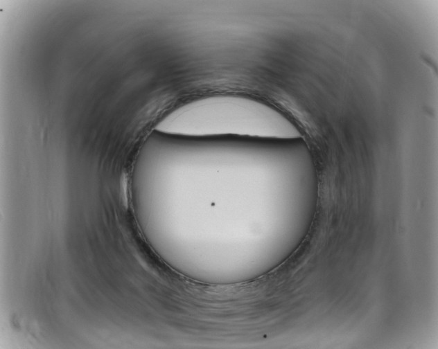 X0000099440022200805090757