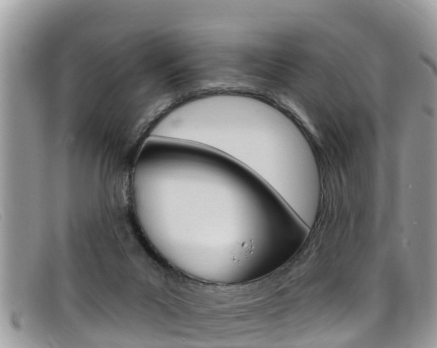 X0000099440023200805090757