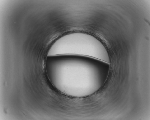 X0000099440024200805090757