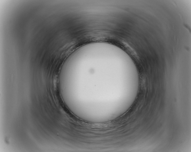 X0000099440026200805090757