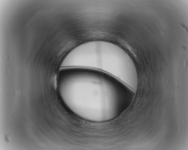 X0000099440027200805090757