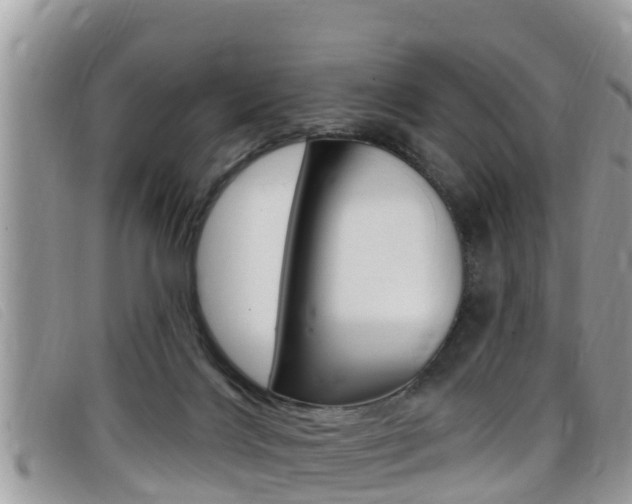 X0000099440028200805090757