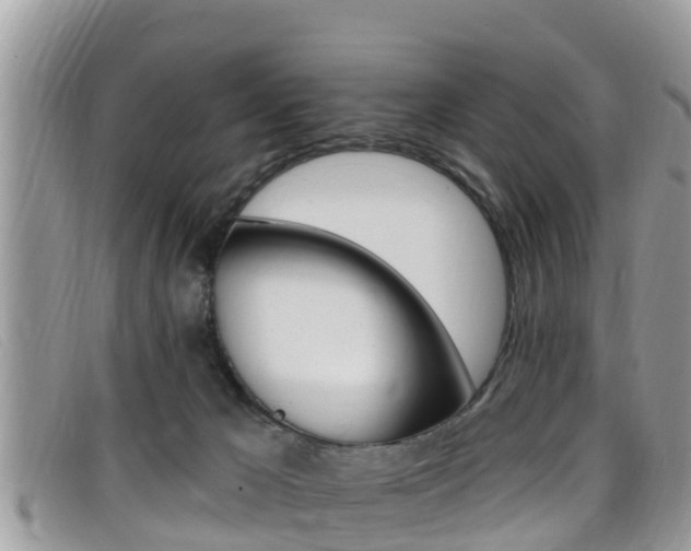 X0000099440029200805090757