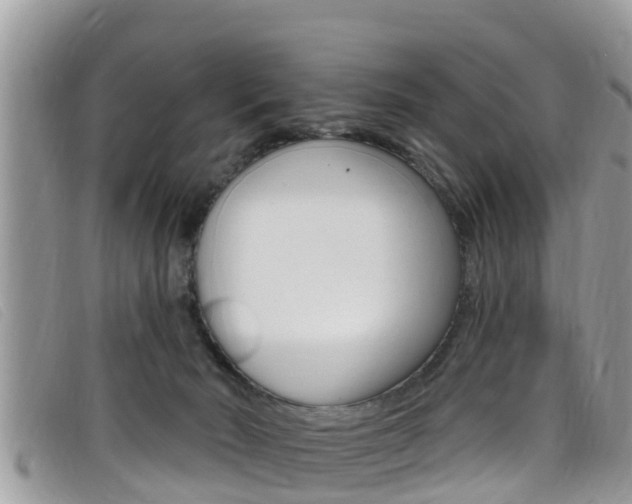 X0000099440030200805090757