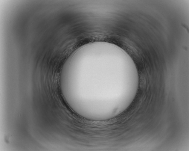X0000099440034200805090757