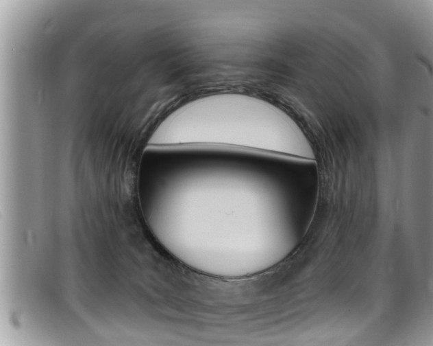 X0000099440035200805090757