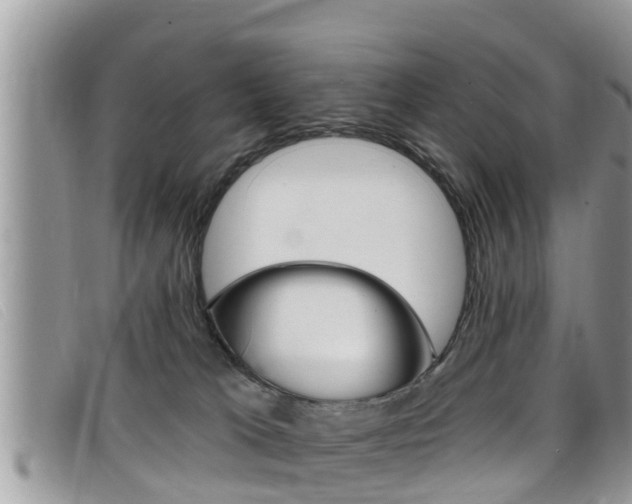 X0000099440037200805090757